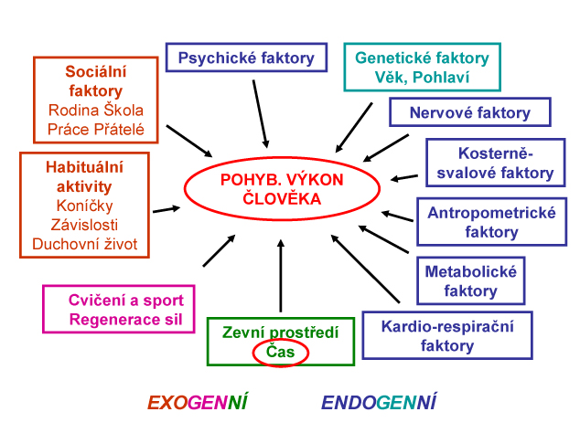 bolest zad faktory vnímání